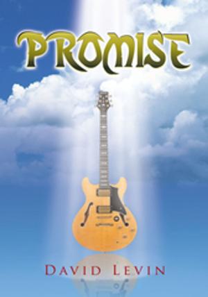 Cover of the book Promise by Gloria Mateely