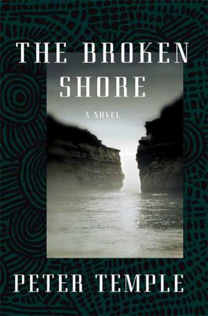 Cover of the book The Broken Shore by August Kleinzahler