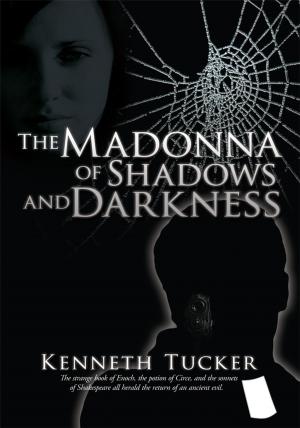 Book cover of The Madonna of Shadows and Darkness