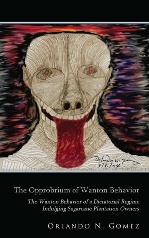 bigCover of the book The Opprobrium of Wanton Behavior by 
