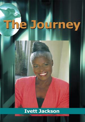 Cover of the book The Journey by John Klopfer, Cynthia Klopfer
