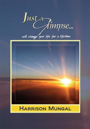 Cover of the book Just a Glimpse by Hope J. Springs
