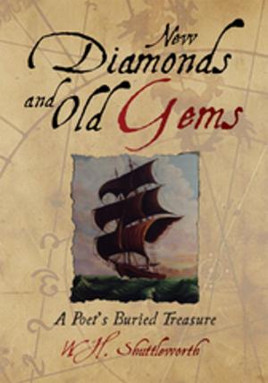 Cover of the book New Diamonds and Old Gems by Manuel S. Marin