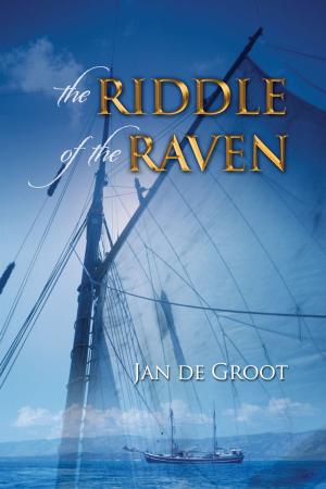Book cover of Riddle of the Raven
