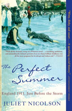 Cover of the book The Perfect Summer by Jeanette Winterson