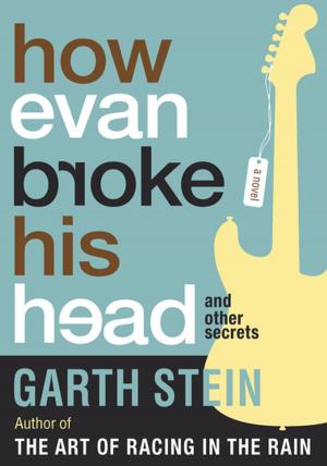 Book cover of How Evan Broke His Head and Other Secrets