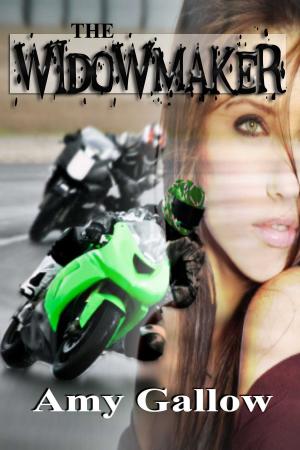 Cover of the book The Widowmaker by Robert Harris Blum