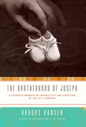 bigCover of the book The Brotherhood of Joseph by 