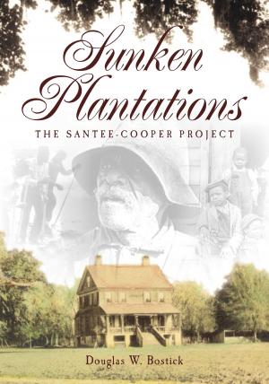 Book cover of Sunken Plantations