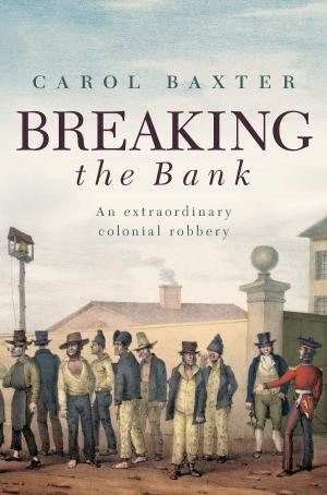 Book cover of Breaking the Bank