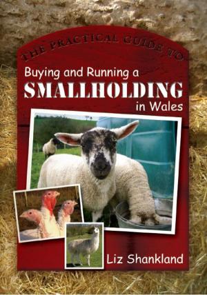 Cover of the book The Practical Guide to Buying and Running a Smallholding in Wales by Richard Wyn Jones, Roger Scully
