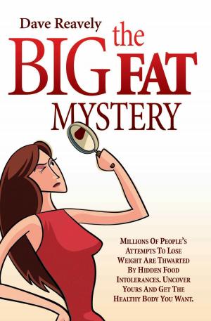 Cover of the book The Big Fat Mystery by Ian Dickens