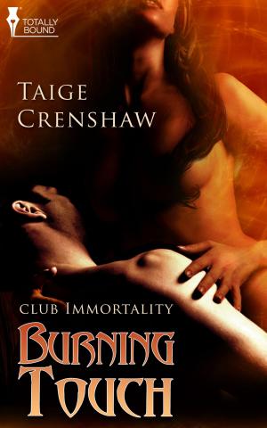 Book cover of Burning Touch