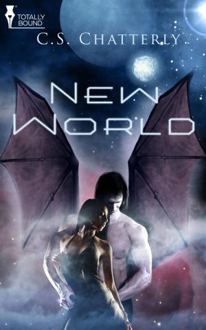 Cover of the book New World by Rachel Randall