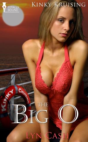 Cover of the book The Big O by Anarie Brady