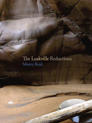 bigCover of the book The Luskville Reductions by 