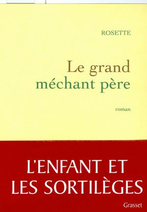 Cover of the book le grand méchant père by Robert de Saint Jean