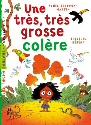 Cover of the book Une très, très grosse colère by Bernard Friot