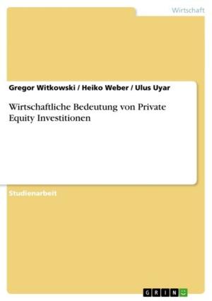 Cover of the book Wirtschaftliche Bedeutung von Private Equity Investitionen by Lena Meyer