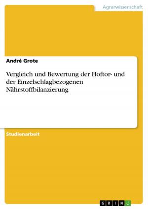 Cover of the book Vergleich und Bewertung der Hoftor- und der Einzelschlagbezogenen Nährstoffbilanzierung by Hans-Jürgen Borchardt