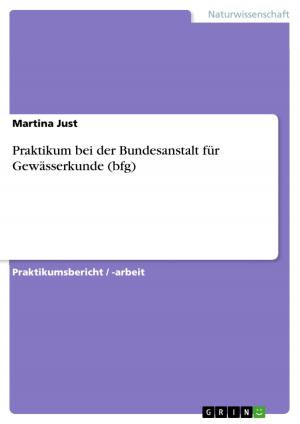 Cover of the book Praktikum bei der Bundesanstalt für Gewässerkunde (bfg) by Joanna Mastalerek