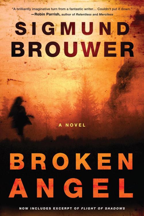 Cover of the book Broken Angel by Sigmund Brouwer, The Crown Publishing Group