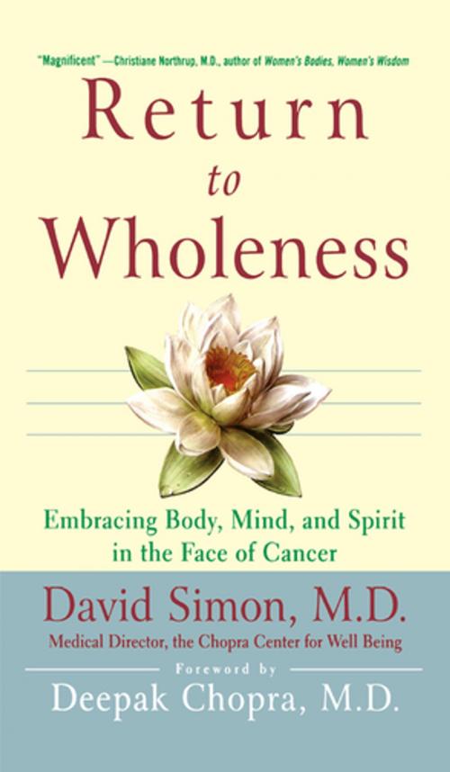 Cover of the book Return to Wholeness by David Simon, M.D., Turner Publishing Company