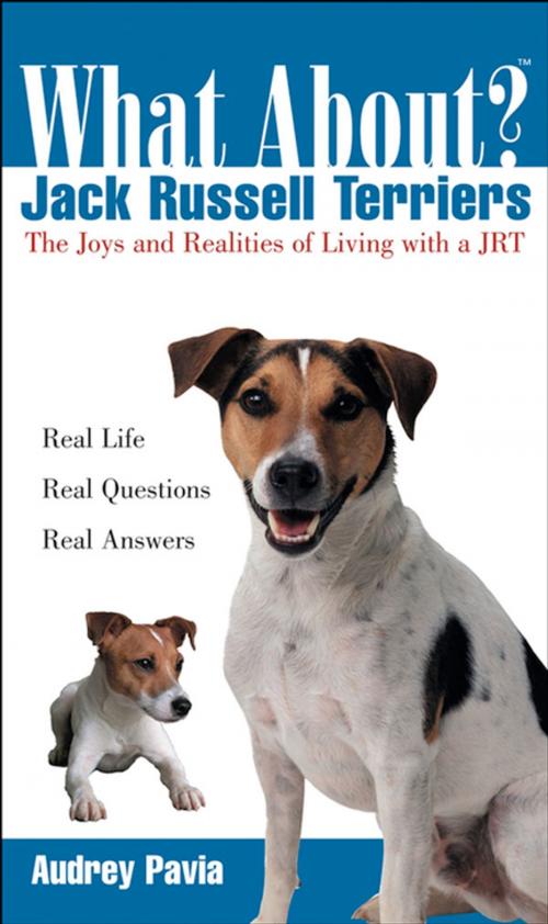 Cover of the book What About Jack Russell Terriers by Audrey Pavia, Turner Publishing Company