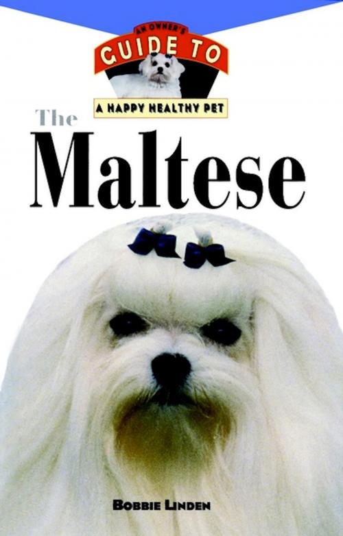 Cover of the book The Maltese by Bobbie Linden, Turner Publishing Company