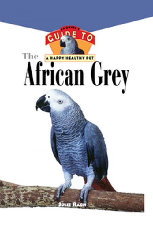 Cover of the book The African Grey by Julie Ann Rach, Turner Publishing Company