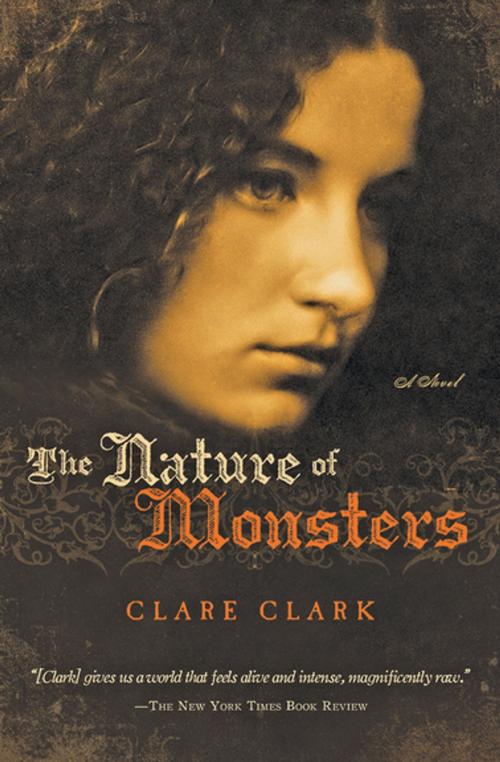 Cover of the book The Nature of Monsters by Clare Clark, Houghton Mifflin Harcourt