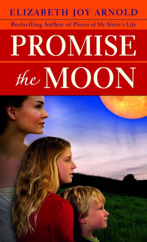 Cover of the book Promise the Moon by Elizabeth Arnold, Random House Publishing Group