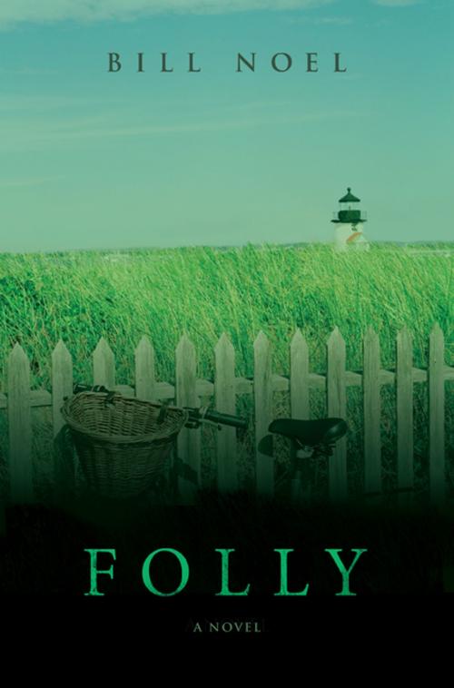Cover of the book Folly by Bill Noel, iUniverse