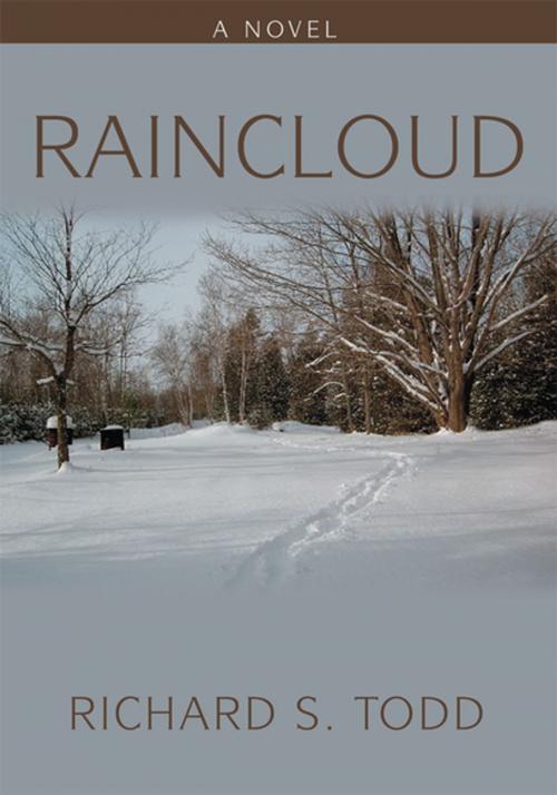 Cover of the book Raincloud by Richard S. Todd, iUniverse