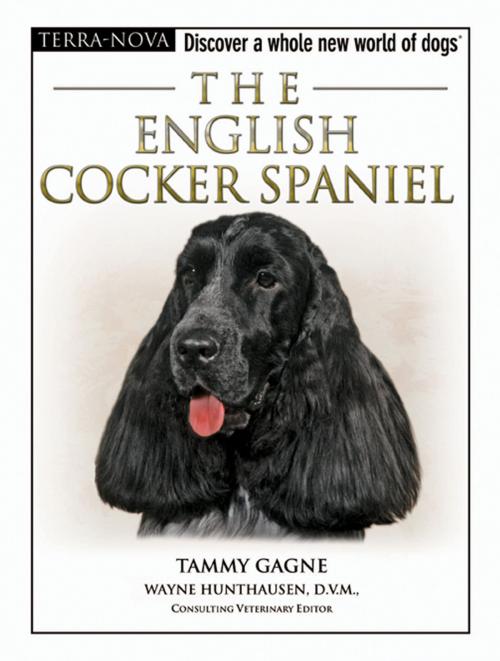 Cover of the book The English Cocker Spaniel by Tammy Gagne, TFH Publications, Inc.