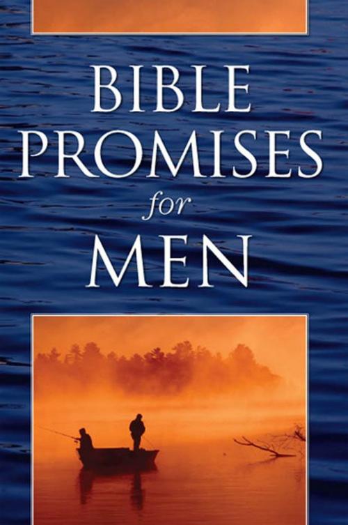 Cover of the book Bible Promises for Men by B&H Editorial Staff, B&H Publishing Group