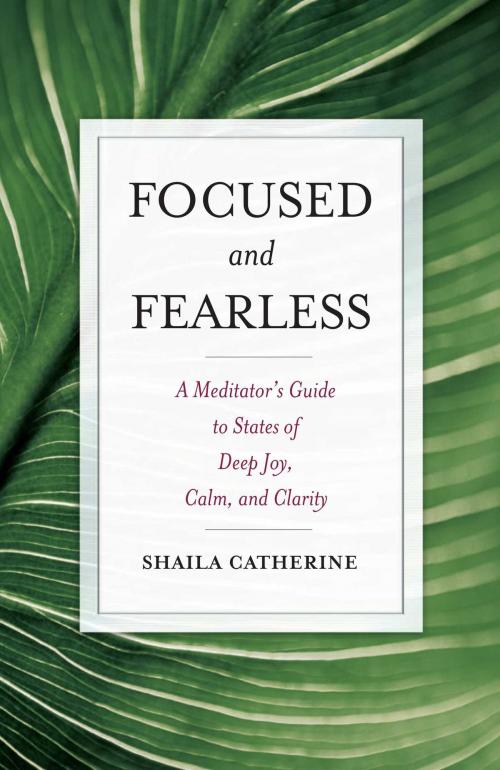 Cover of the book Focused and Fearless by Shaila Catherine, Wisdom Publications