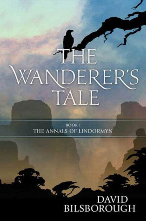 Cover of the book The Wanderer's Tale by David Bilsborough, Tom Doherty Associates