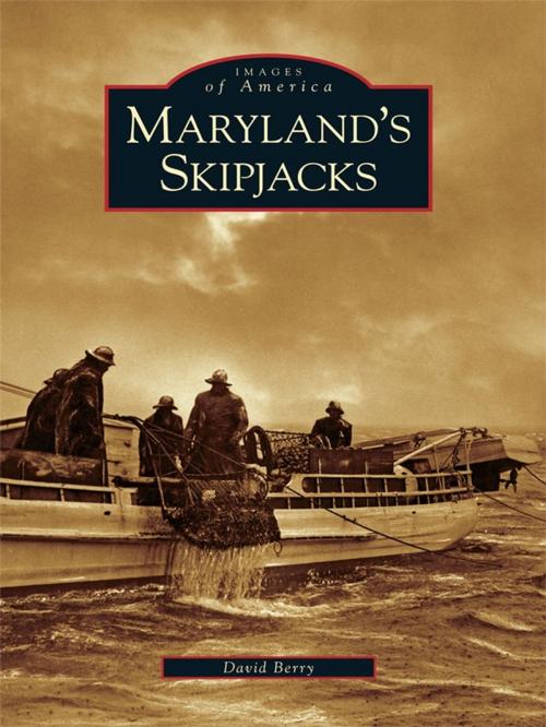 Cover of the book Maryland's Skipjacks by David A. Berry, Arcadia Publishing Inc.