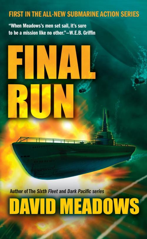 Cover of the book Final Run by David E. Meadows, Penguin Publishing Group
