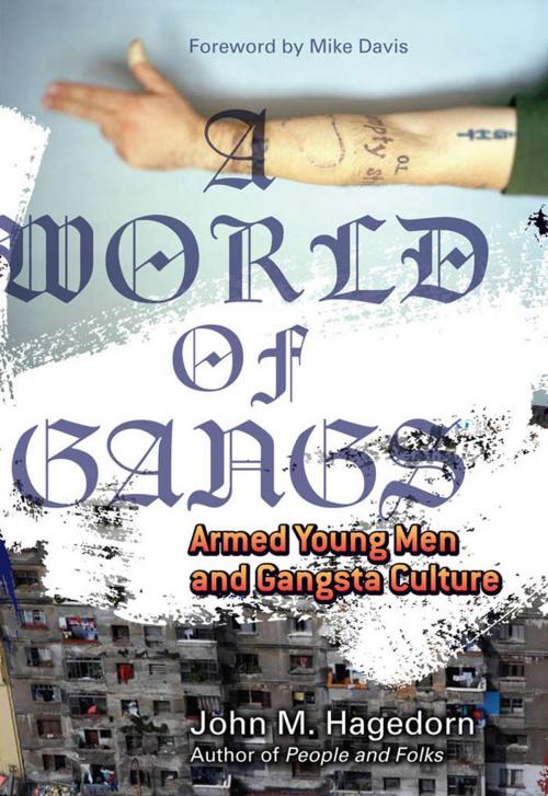 Cover of the book A World of Gangs by John M. M. Hagedorn, University of Minnesota Press
