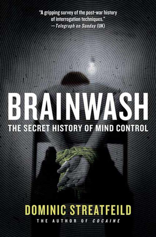 Cover of the book Brainwash by Dominic Streatfeild, St. Martin's Press