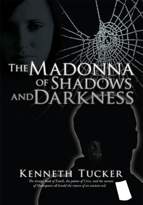 Cover of the book The Madonna of Shadows and Darkness by Kenneth Tucker, AuthorHouse