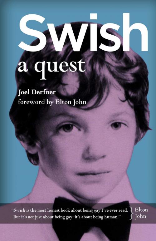 Cover of the book Swish by Joel Derfner, BookBaby