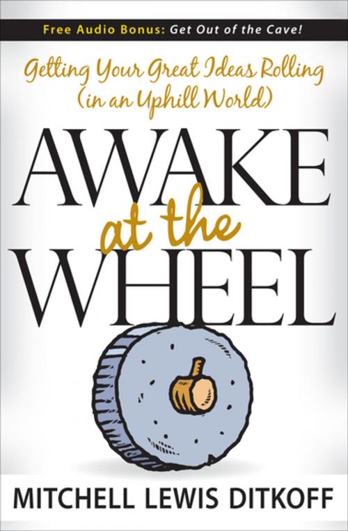 Cover of the book Awake at the Wheel by Mitchell Lewis Ditkoff, Morgan James Publishing