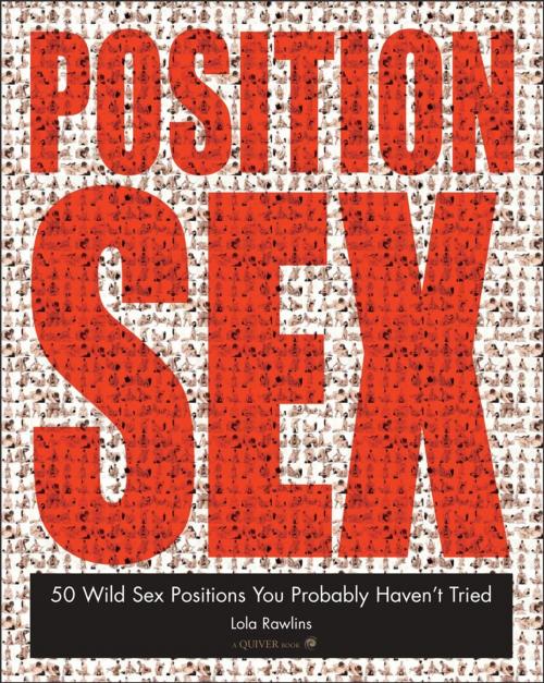 Cover of the book The Position Sex Bible: More Positions Than You Could Possibly Imagine Trying by Randi Foxx, Quiver
