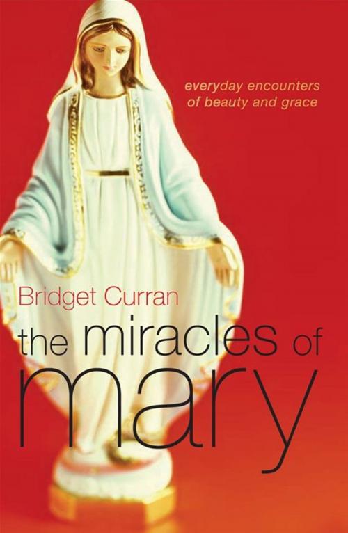 Cover of the book The Miracles of Mary by Bridget Curran, Allen & Unwin