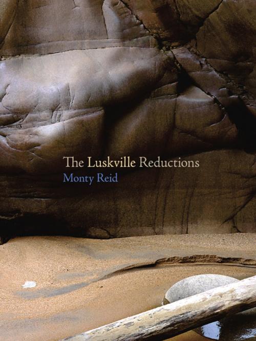 Cover of the book The Luskville Reductions by Monty Reid, Brick Books