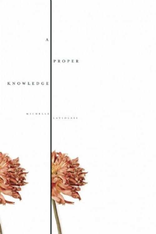 Cover of the book A Proper Knowledge by Michelle Latiolais, Bellevue Literary Press
