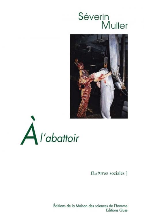 Cover of the book A l'abattoir by Séverin Muller, Quae